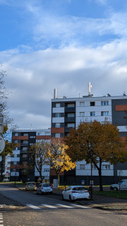 1669022353-504.jpg
