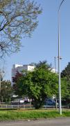 1651561107-40.jpg