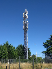 1656786495-918.jpg