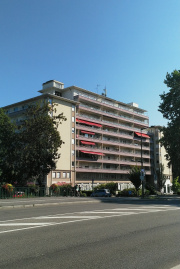 1533229174-643.jpg