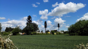 1566047990-143.jpg