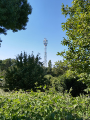 1660229159-590.jpg
