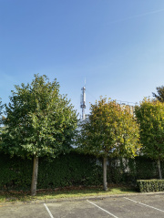 1696774704-879.jpg