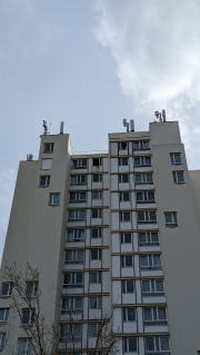 1679151169-405.jpg