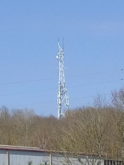 1647782105-796.jpg