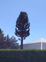 1659879445-256.jpg